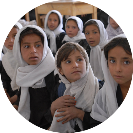 让您更轻松的cc网页端