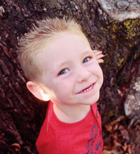 免费ddos压力测试平台